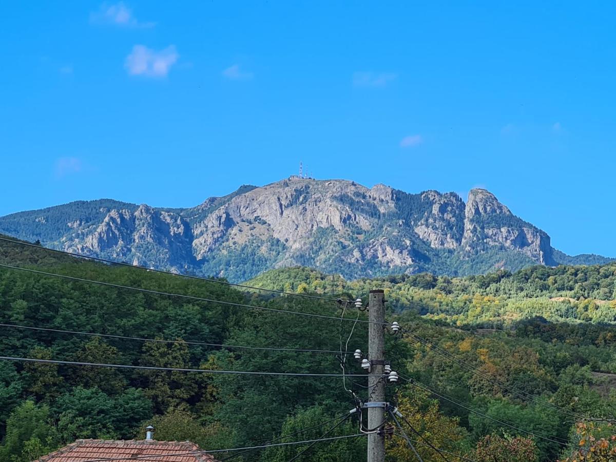 Casa Hera Călimăneşti Exterior foto
